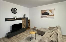 Apartament 2 camere de închiriat – Aradului, et 8, 500 euro
