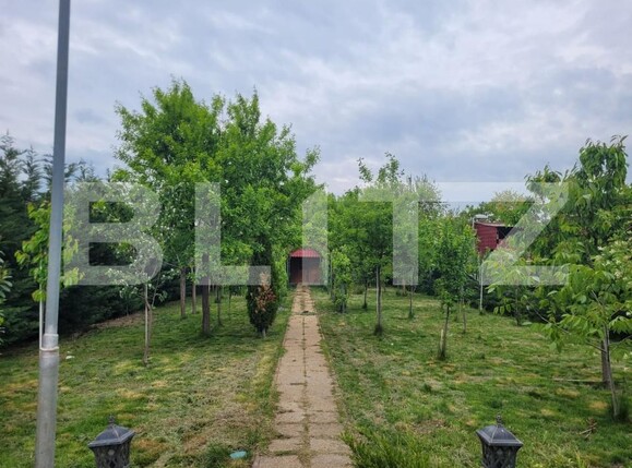 Casa de vânzare 3 camere Sacalaz - 195425CV | BLITZ Timișoara | Poza12
