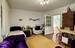 Casa individuala, 200 mp, ideala pentru 2 familii, zona Iosefin