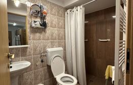 Casa individuala, 200 mp, ideala pentru 2 familii, zona Iosefin