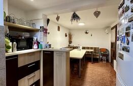 Casa individuala, 200 mp, ideala pentru 2 familii, zona Iosefin