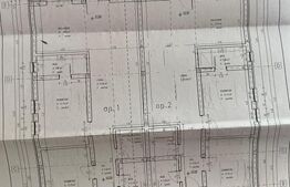 Duplex parter, 3 camere, 80mp utili, 400 mp teren, zona Parta