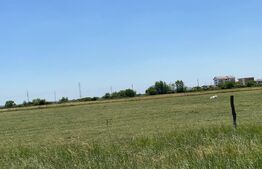 Teren Intravilan, 661 mp P+1E+M, zona Giroc