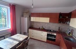 Casă individuală cu teren de 1.000 mp, 167 mp utili, zona Cornesti