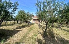 Casă individuală cu teren de 1.000 mp, 167 mp utili, zona Cornesti