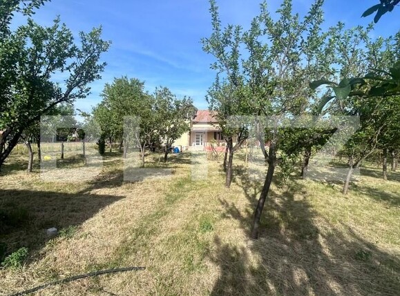 Casa de vânzare 6 camere Corneşti - 195621CV | BLITZ Timișoara | Poza10