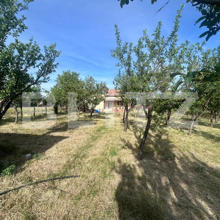 Casa de vânzare 6 camere Corneşti - 195621CV | BLITZ Timișoara | Poza10