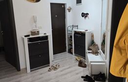 Apartament 3 camere decomandat, mobilat utilat, 66 mp, zona Braytim 