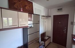 Apartament 3 camere, 67 mp utili, mobilat și utilat, zona Bogdăneștilor