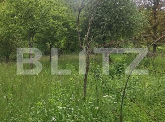 Casa de vânzare 4 camere Nadrag - 195743CV | BLITZ Timișoara | Poza25