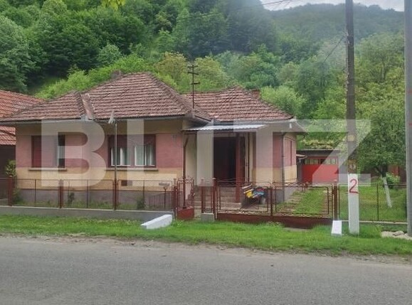 Casa de vânzare 4 camere Nadrag - 195743CV | BLITZ Timișoara | Poza24