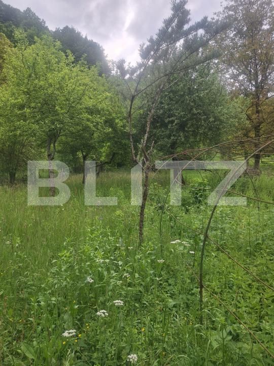Casa de vânzare 4 camere Nadrag - 195743CV | BLITZ Timișoara | Poza25
