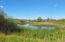 Teren de vanzare, 1600 mp, iesire la lacul Surduc