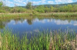 Teren de vanzare, 1600 mp, iesire la lacul Surduc