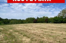 Teren intravilan, 820 mp, front 25 ml, zona Padure Giroc