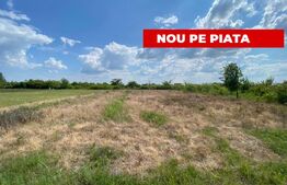 Teren intravilan, 632 mp, front 18ml P+1E, Mosnita Veche
