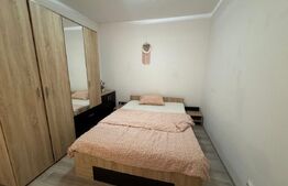 Apartament 2 camere, 50 mp+balcon, zona Take Ionescu