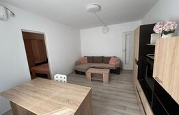 Apartament 2 camere, 50 mp+balcon, zona Take Ionescu