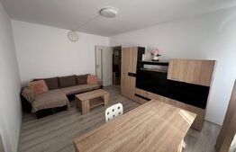 Apartament 2 camere, 50 mp+balcon, zona Take Ionescu