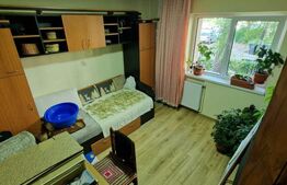 Apartament 2 camere, 53 mp, Calea Lipovei