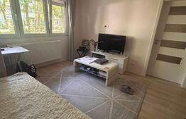 Apartament renovat si utilat, 47 mp, zona Medicina / ISHO