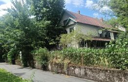 Casa de vanzare, 460 mp, 17 camere, zona Buzias 