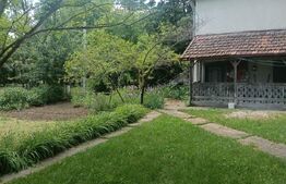 Casa de vanzare, 460 mp, 17 camere, zona Buzias 