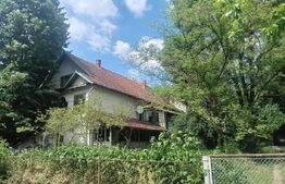 Casa de vanzare, 460 mp, 17 camere, zona Buzias 