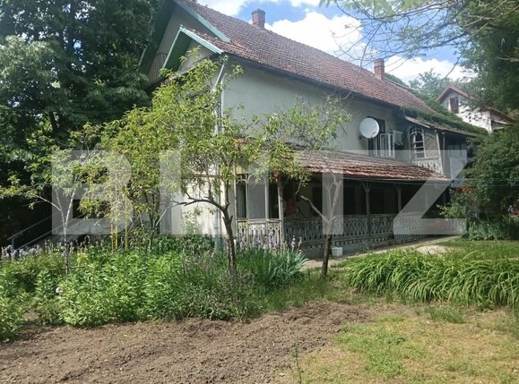 Casa de vânzare 17 camere Buziaş - 196042CV | BLITZ Timișoara | Poza4