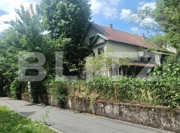 Casa de vânzare 17 camere Buziaş - 196042CV | BLITZ Timișoara | Poza3
