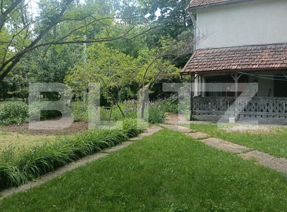 Casa de vânzare 17 camere Buziaş - 196042CV | BLITZ Timișoara | Poza12