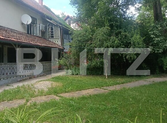 Casa de vânzare 17 camere Buziaş - 196042CV | BLITZ Timișoara | Poza13