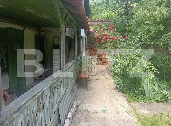 Casa de vânzare 17 camere Buziaş - 196042CV | BLITZ Timișoara | Poza10