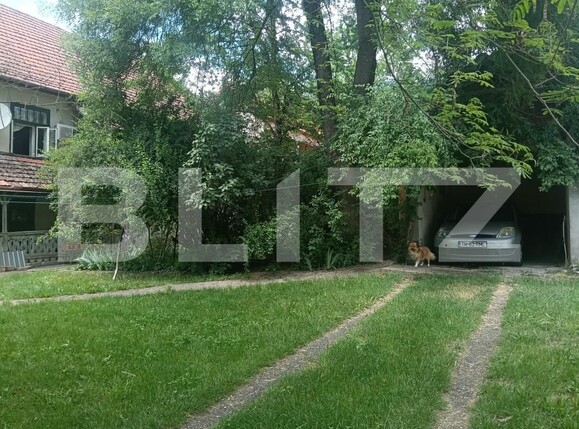 Casa de vânzare 17 camere Buziaş - 196042CV | BLITZ Timișoara | Poza11