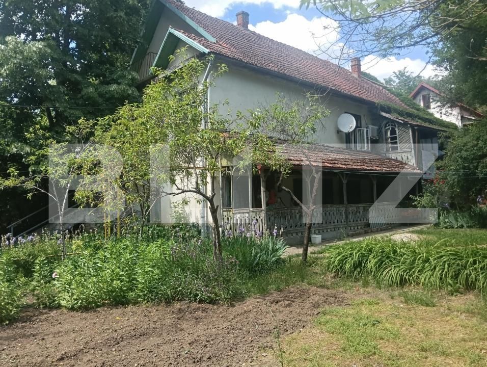 Casa de vânzare 17 camere Buziaş - 196042CV | BLITZ Timișoara | Poza4