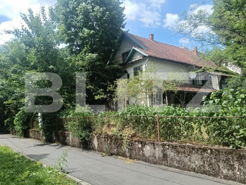 Casa de vânzare 17 camere Buziaş - 196042CV | BLITZ Timișoara | Poza3