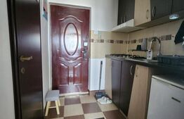 Garsoniera de vanzare, 16 mp, zona Fratelia 