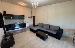 Apartament 2 camere, 50 mp, pet friendly, zona Giroc