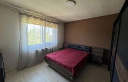 Apartament 2 camere, 50 mp, pet friendly, zona Giroc