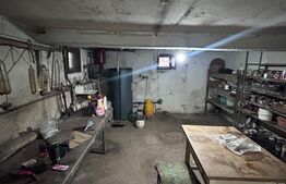 Proprietate 160 mp utili, 1.046 mp teren, centrul din Moșnița Veche