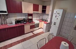 Proprietate 160 mp utili, 1.046 mp teren, centrul din Moșnița Veche