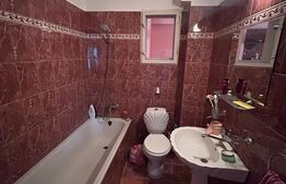 Proprietate 160 mp utili, 1.046 mp teren, centrul din Moșnița Veche