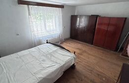 Proprietate 160 mp utili, 1.046 mp teren, centrul din Moșnița Veche