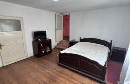 Proprietate 160 mp utili, 1.046 mp teren, centrul din Moșnița Veche