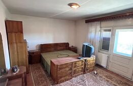 Proprietate 160 mp utili, 1.046 mp teren, centrul din Moșnița Veche