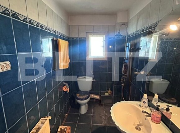 Casa de vânzare 5 camere Mosnita Veche - 196248CV | BLITZ Timișoara | Poza14