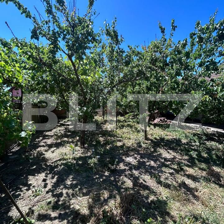 Casa de vânzare 5 camere Mosnita Veche - 196248CV | BLITZ Timișoara | Poza22