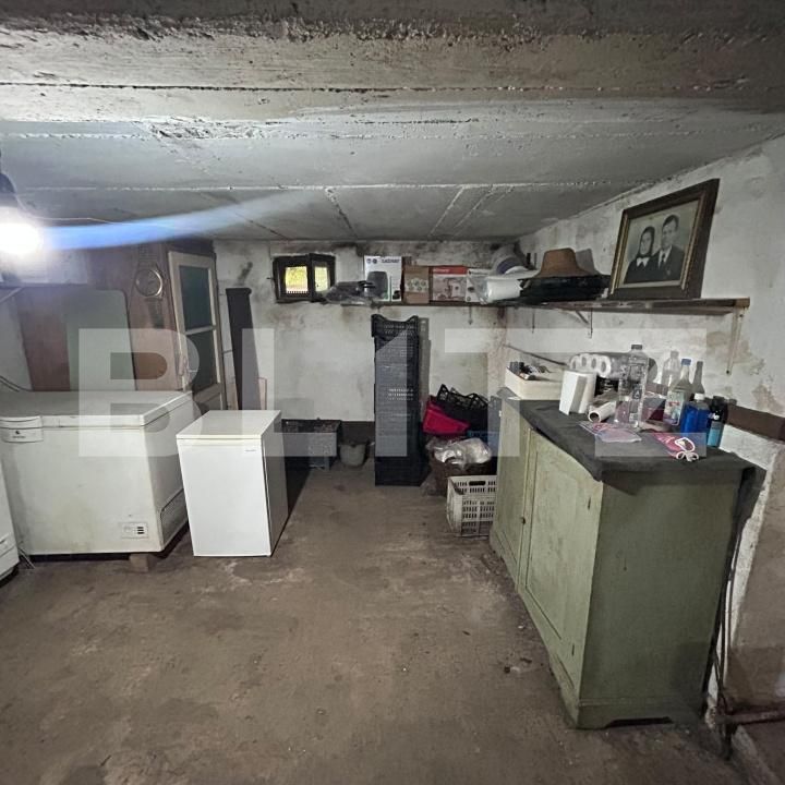 Casa de vânzare 5 camere Mosnita Veche - 196248CV | BLITZ Timișoara | Poza20