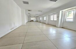 Casa Individuala, 334.72 mp, zona Elisabetin