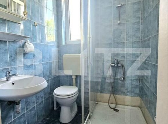 Casa de închiriat 9 camere Elisabetin - 196300CI | BLITZ Timișoara | Poza12